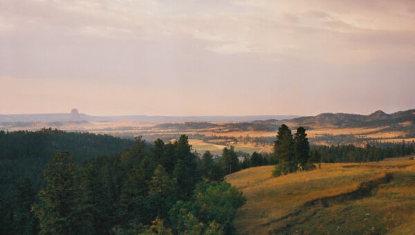 Devils Tower