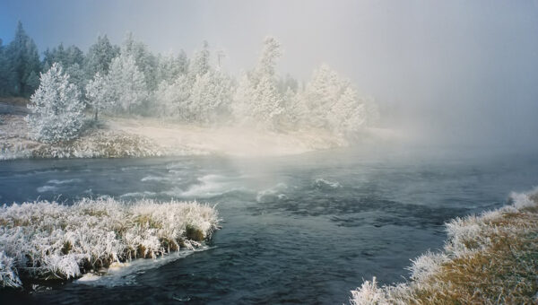 Yellowstone