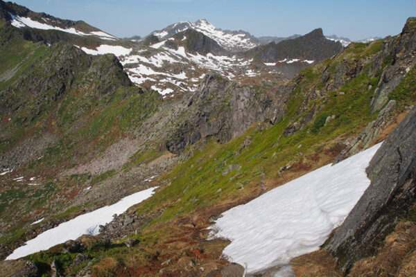 Schneefeld