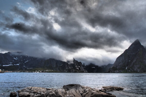 Reine
