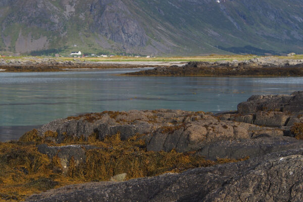 Flakstadøya