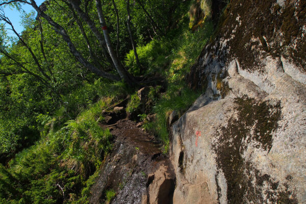 Wanderweg