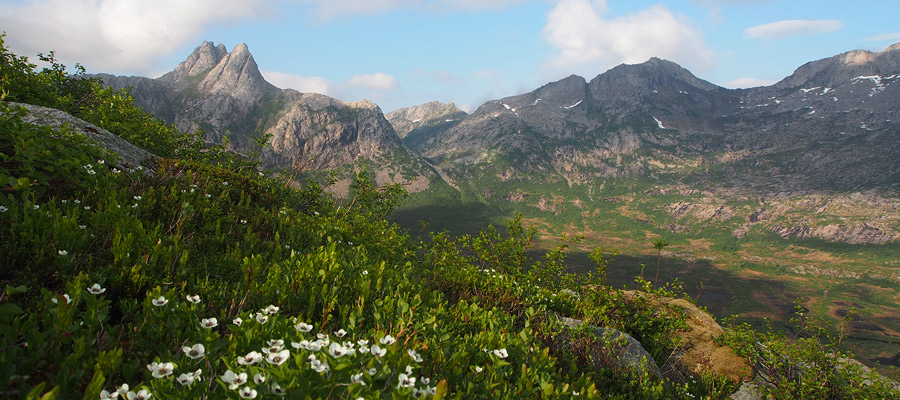 Rundfjellet
