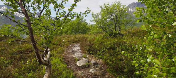 Rundfjellet Wandern