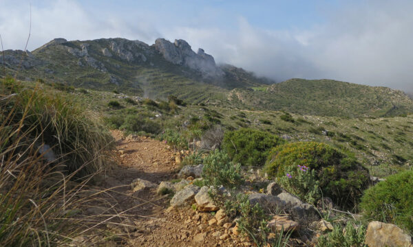 GR 221 – Anstieg Ses Basses