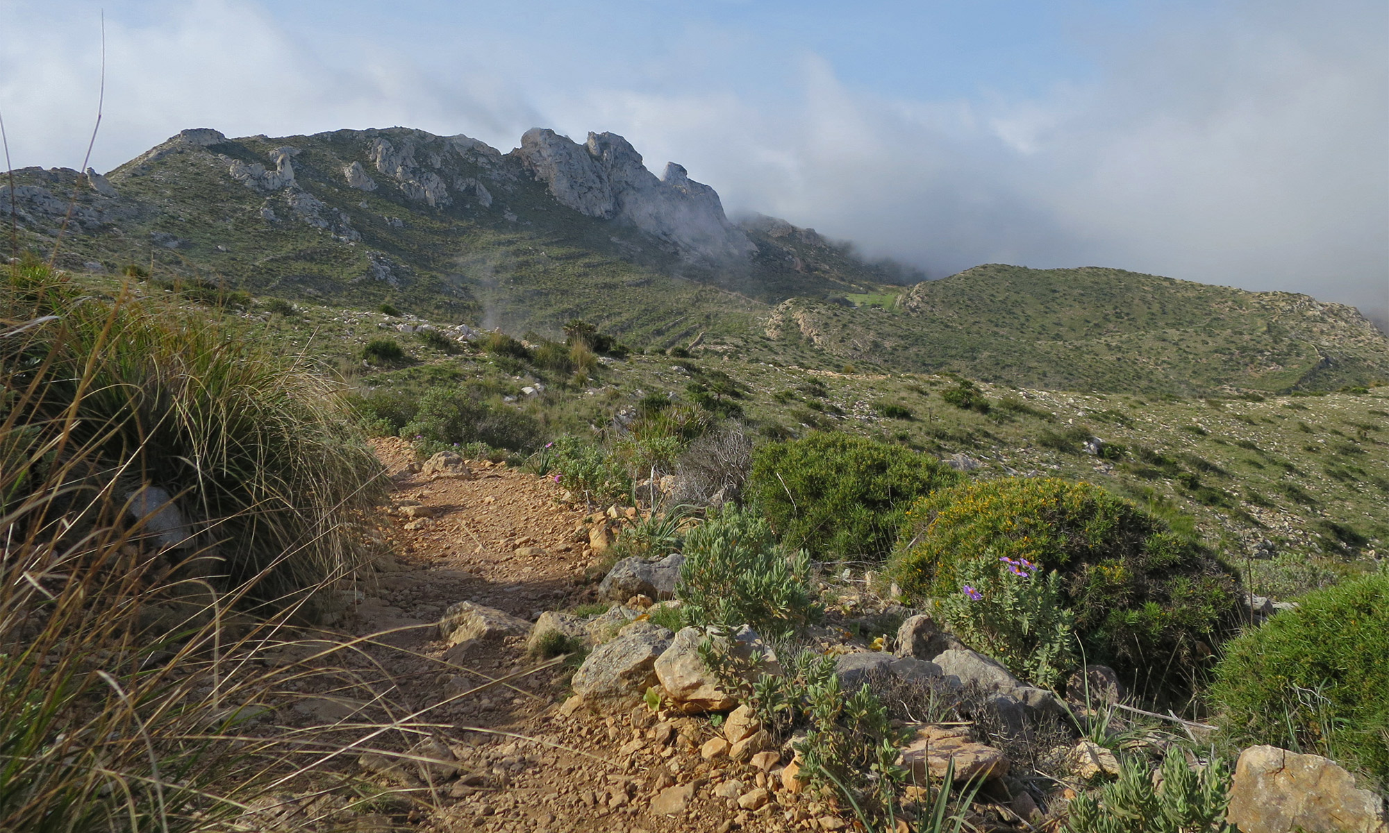 GR 221 – Anstieg Ses Basses