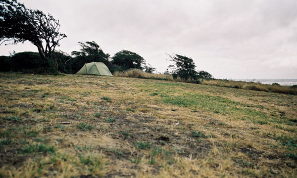 Zelt im Queen Elizabeth Park, Neuseeland