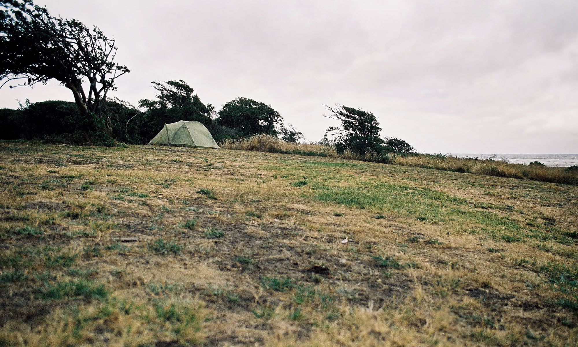 Zelt im Queen Elizabeth Park, Neuseeland