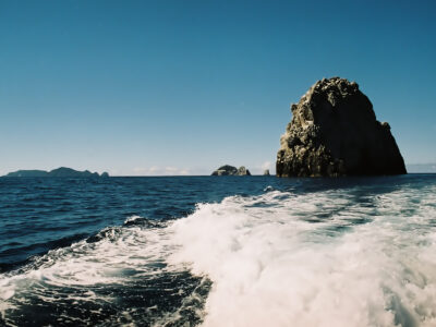 Poor Knights Islands, Neuseeland