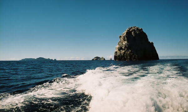 Poor Knights Islands, Neuseeland