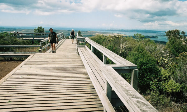 Rangitoto Aussichtsplattform, Neuseeland