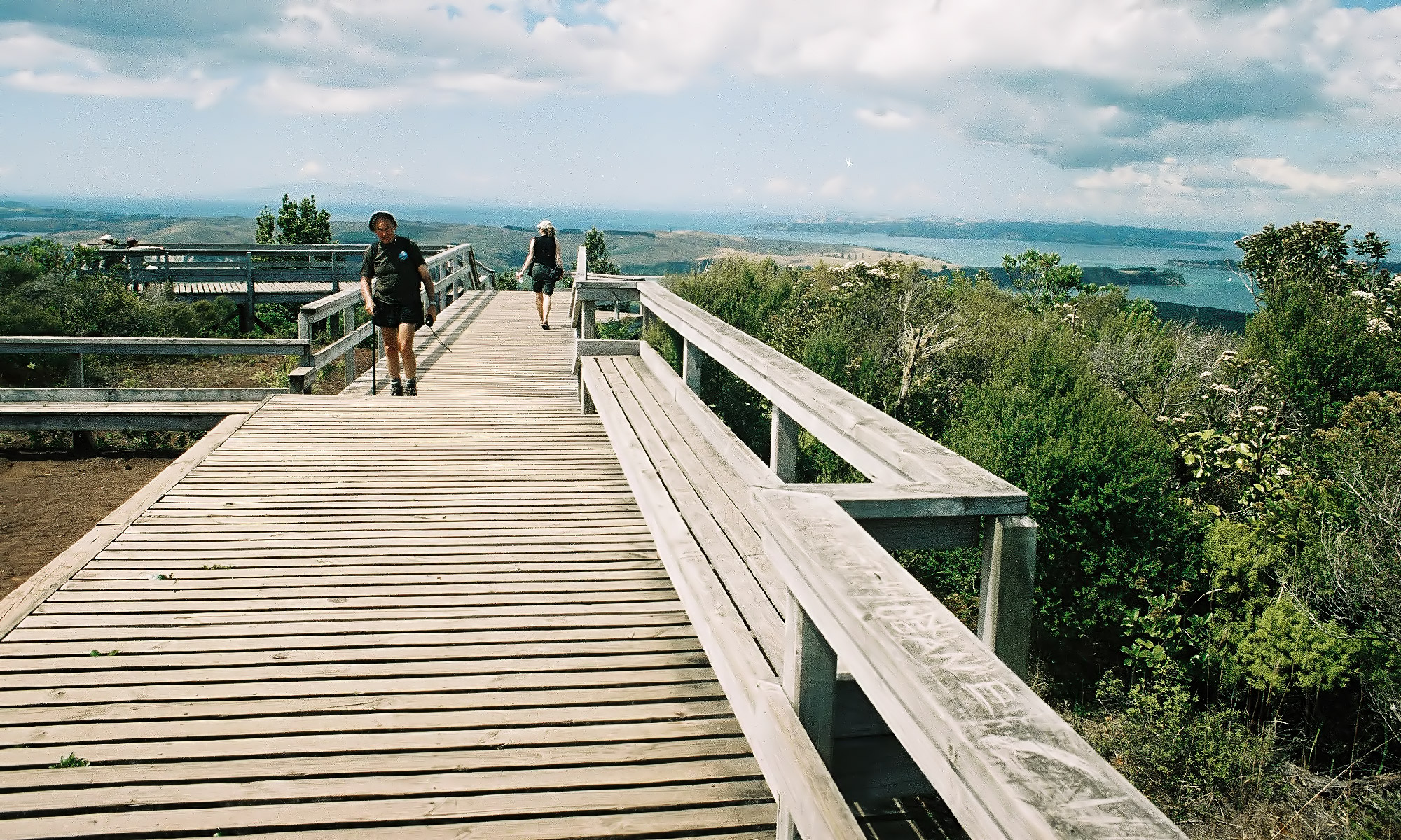 Rangitoto Aussichtsplattform, Neuseeland