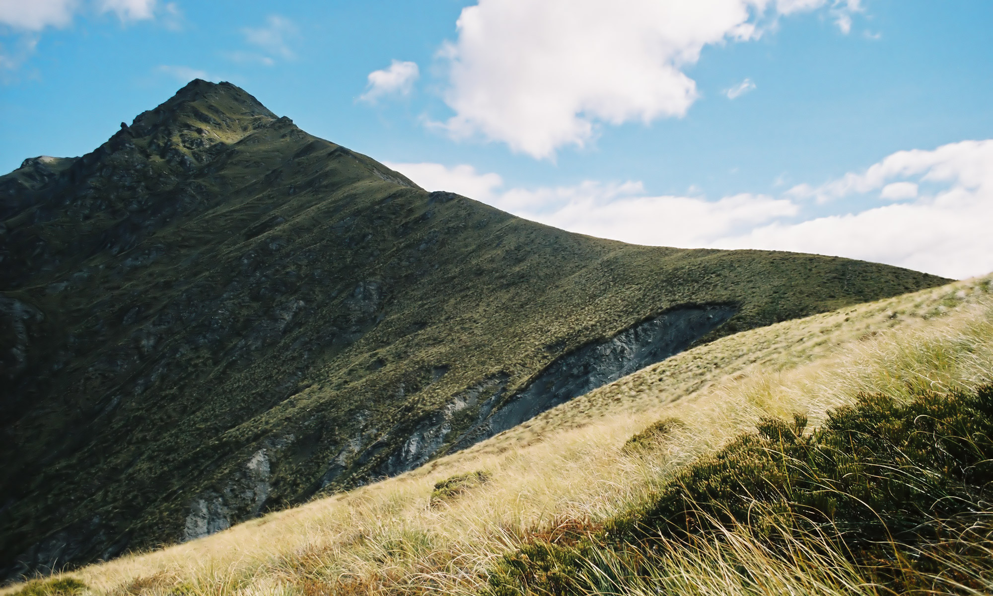 Ben Lomond, Neuseeland