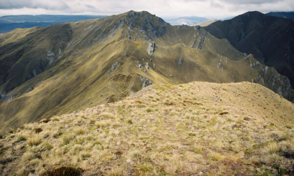 Skyline Track, Neuseeland