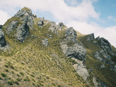 Skyline Track, Mt.Alpha, Neuseeland