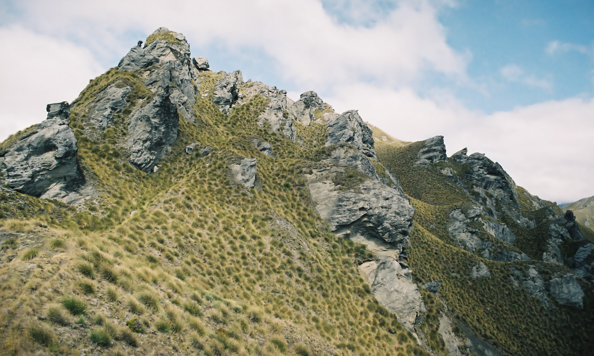 Skyline Track, Mt.Alpha, Neuseeland
