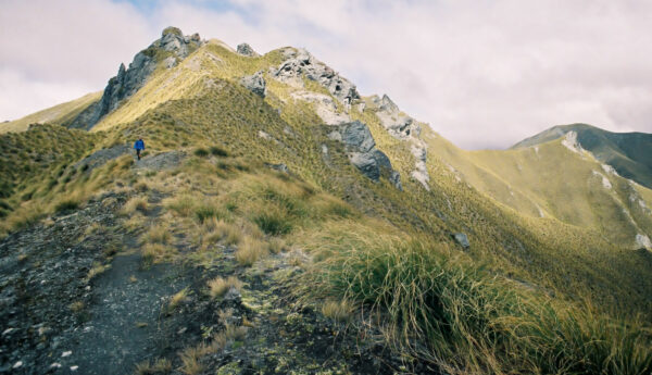 Skyline Track, Mt.Alpha, Neuseeland
