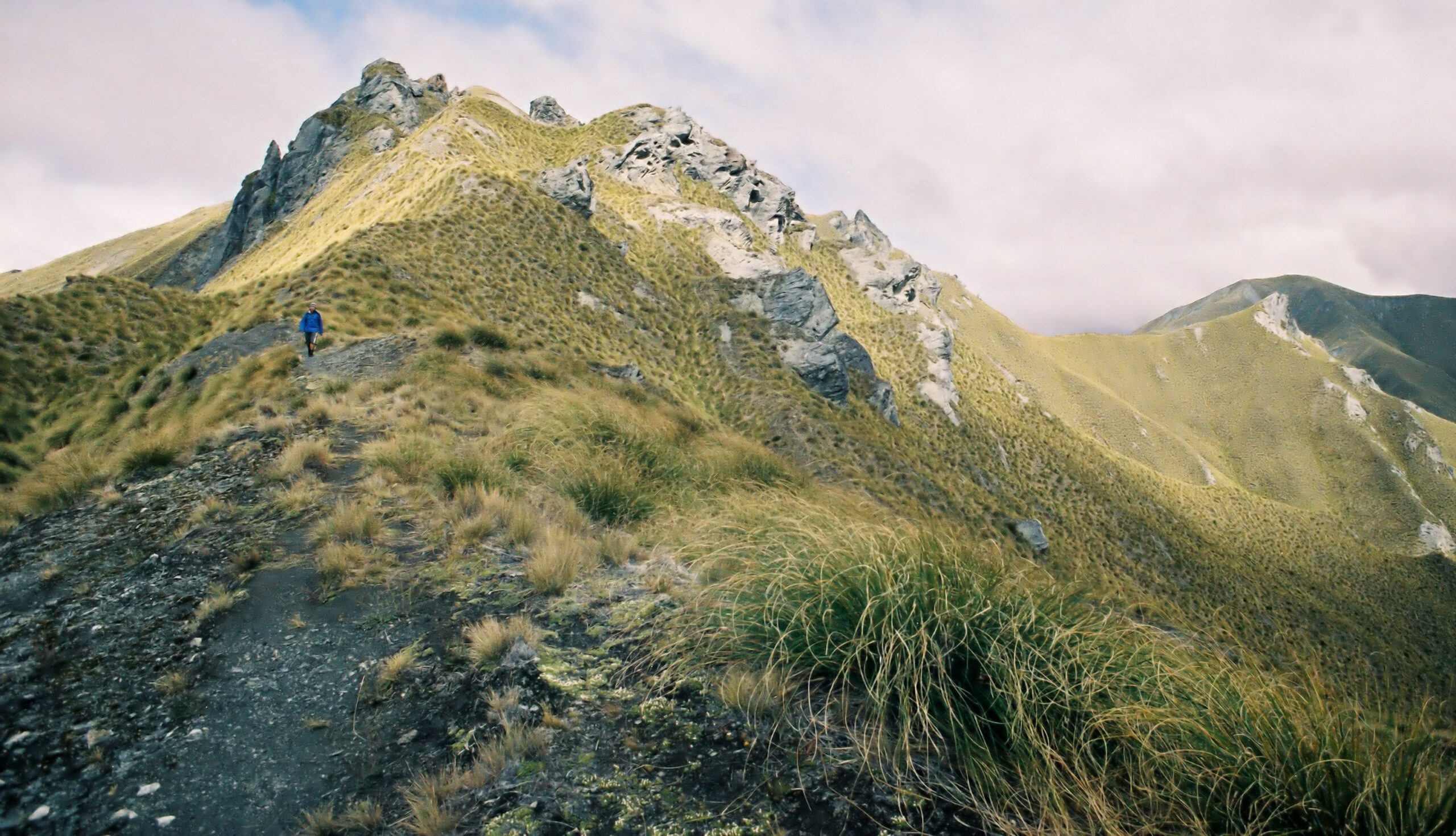 Skyline Track, Mt.Alpha, Neuseeland