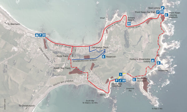 Kaikoura Peninsula Walkway