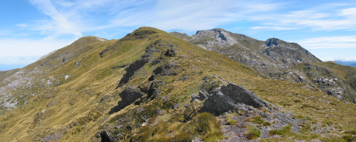 Mt. Arthur Trail, Neuseeland