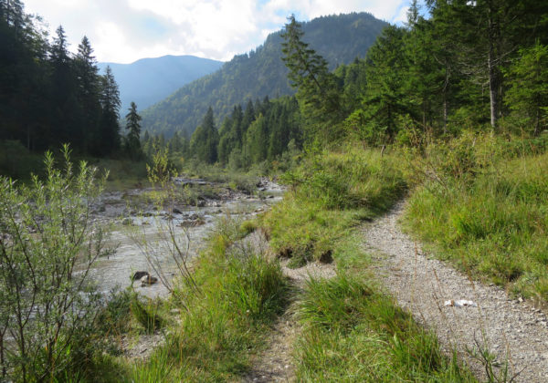 entlang des Hofbauernweißach