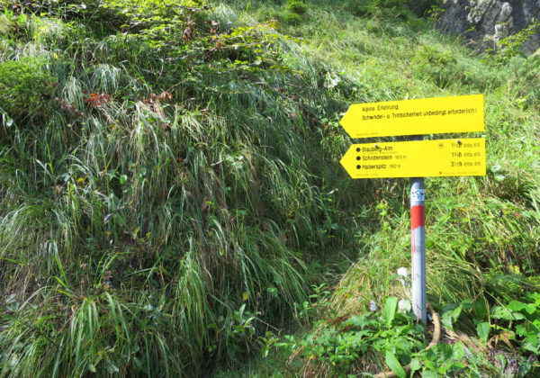 Schild