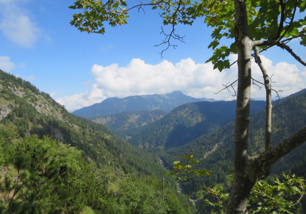 Aussicht hinüber zum Risserkogel (1825m)