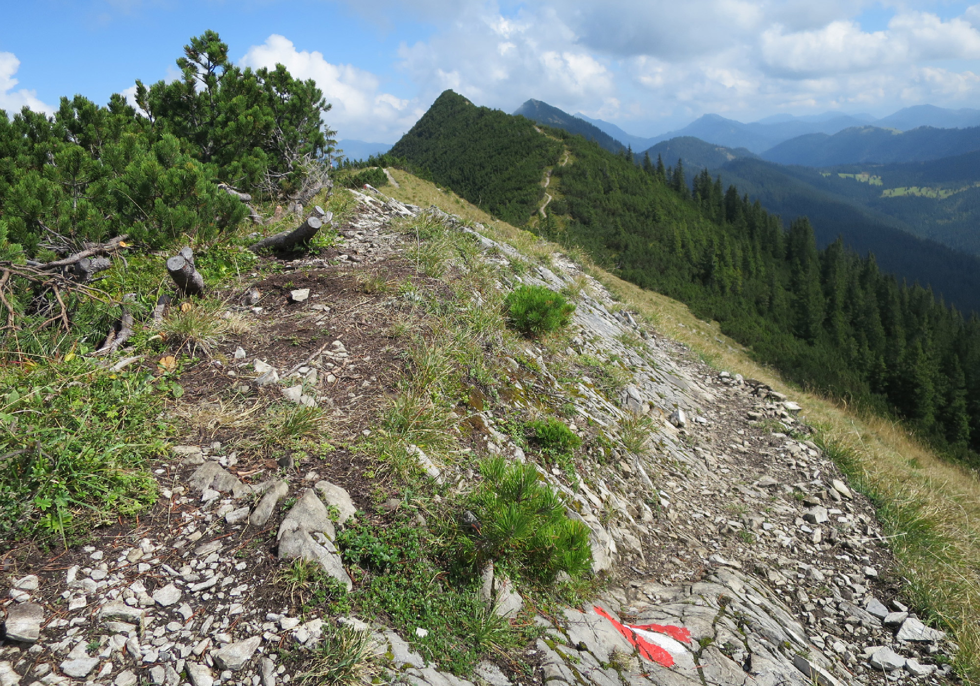 Blick hinüber zur Blaubergschneid