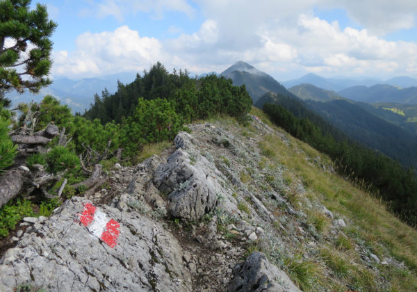 Weg Blaubergschneid