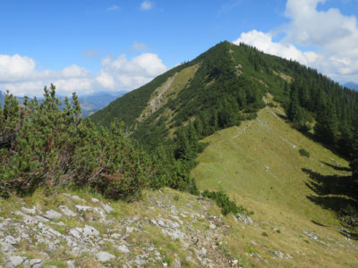 Blick auf die Halserspitze