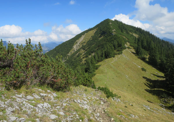 Blick auf die Halserspitze
