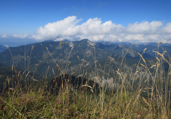 Blick von der Gipfelkreuz Halserspitze