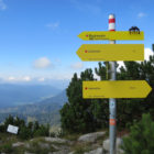 Schild