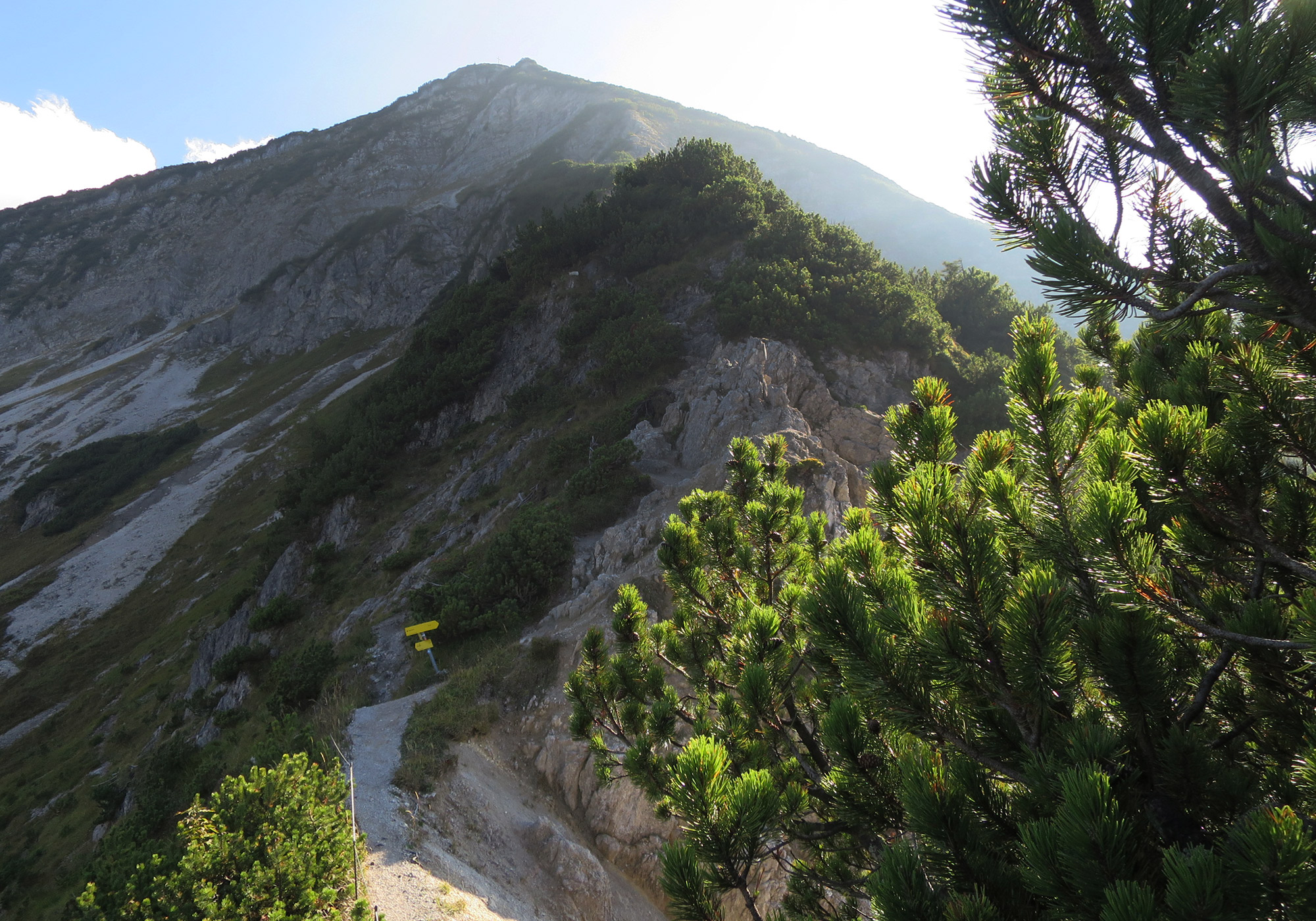 Blick zurück zur Halserspitze