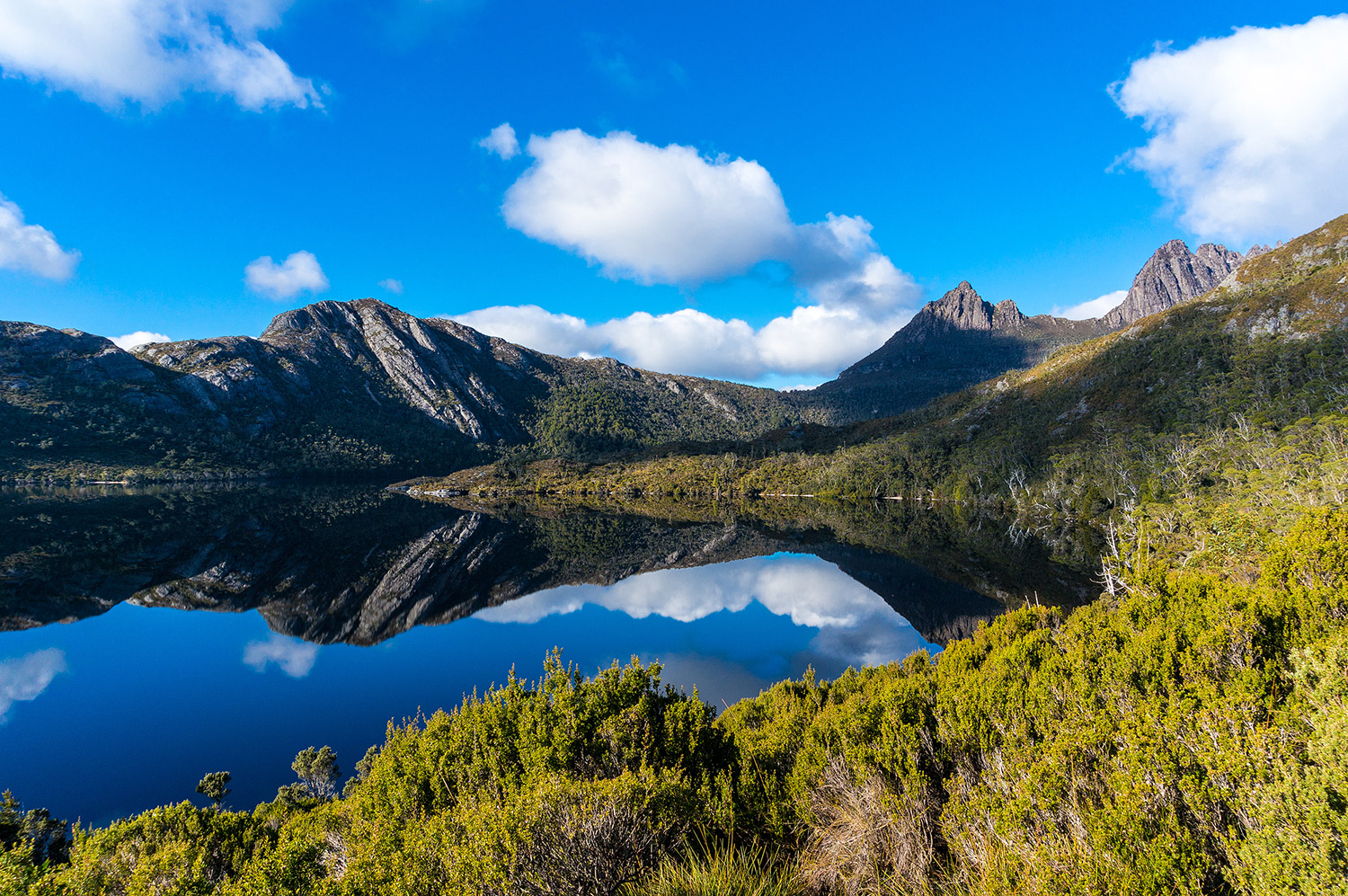 Cradle Mountain Nationalpark, von Olga Kashubin / Shutterstock