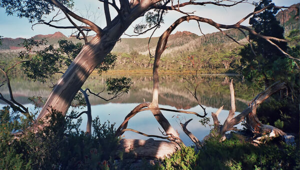 Mount Cradle Nationalpark