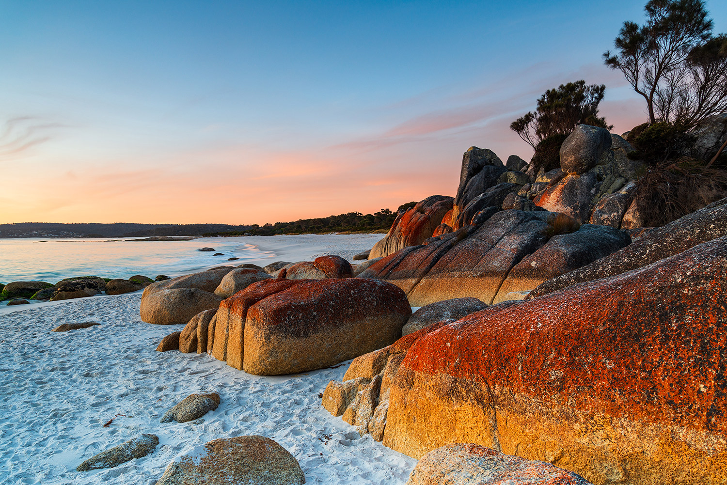Bay of Fires, von Craig Milson / Shutterstock