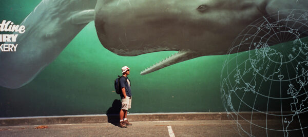 Weltreise Kaikoura