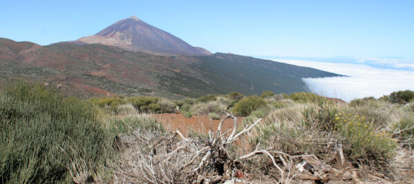 Wandern auf Teneriffa