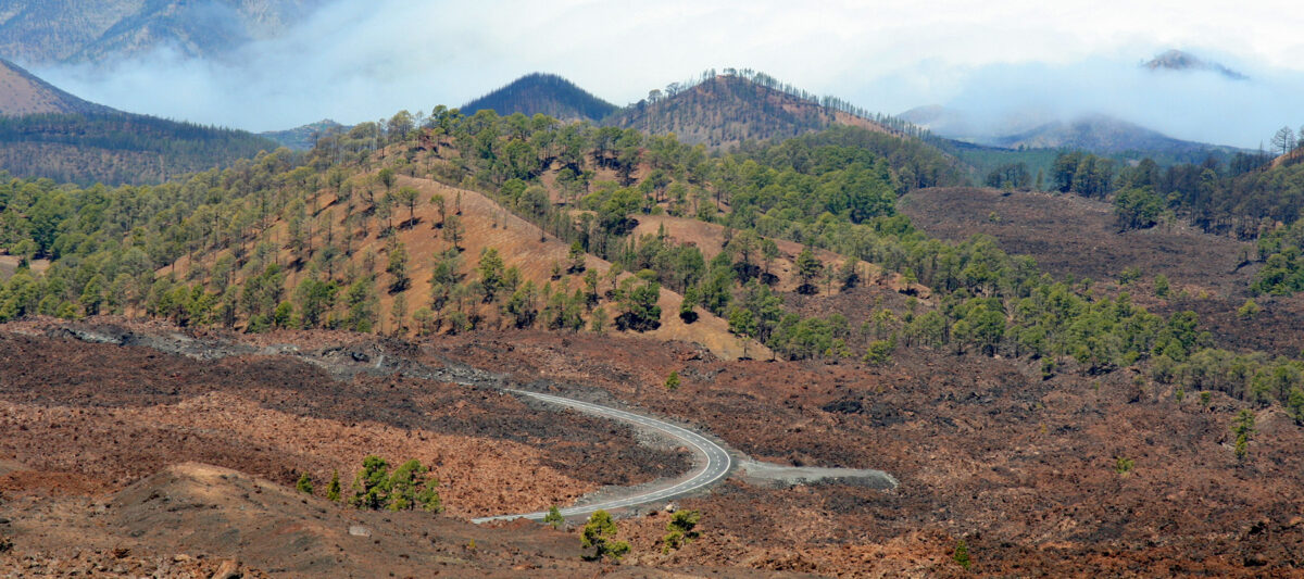 Teneriffa Planung