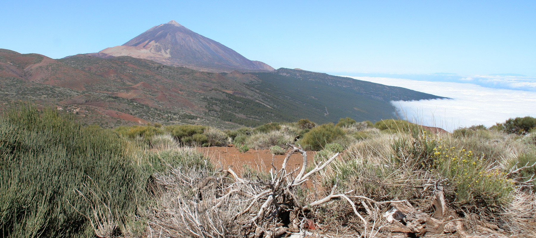 Wandern auf Teneriffa