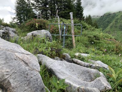 Pfad und Drehkreuz