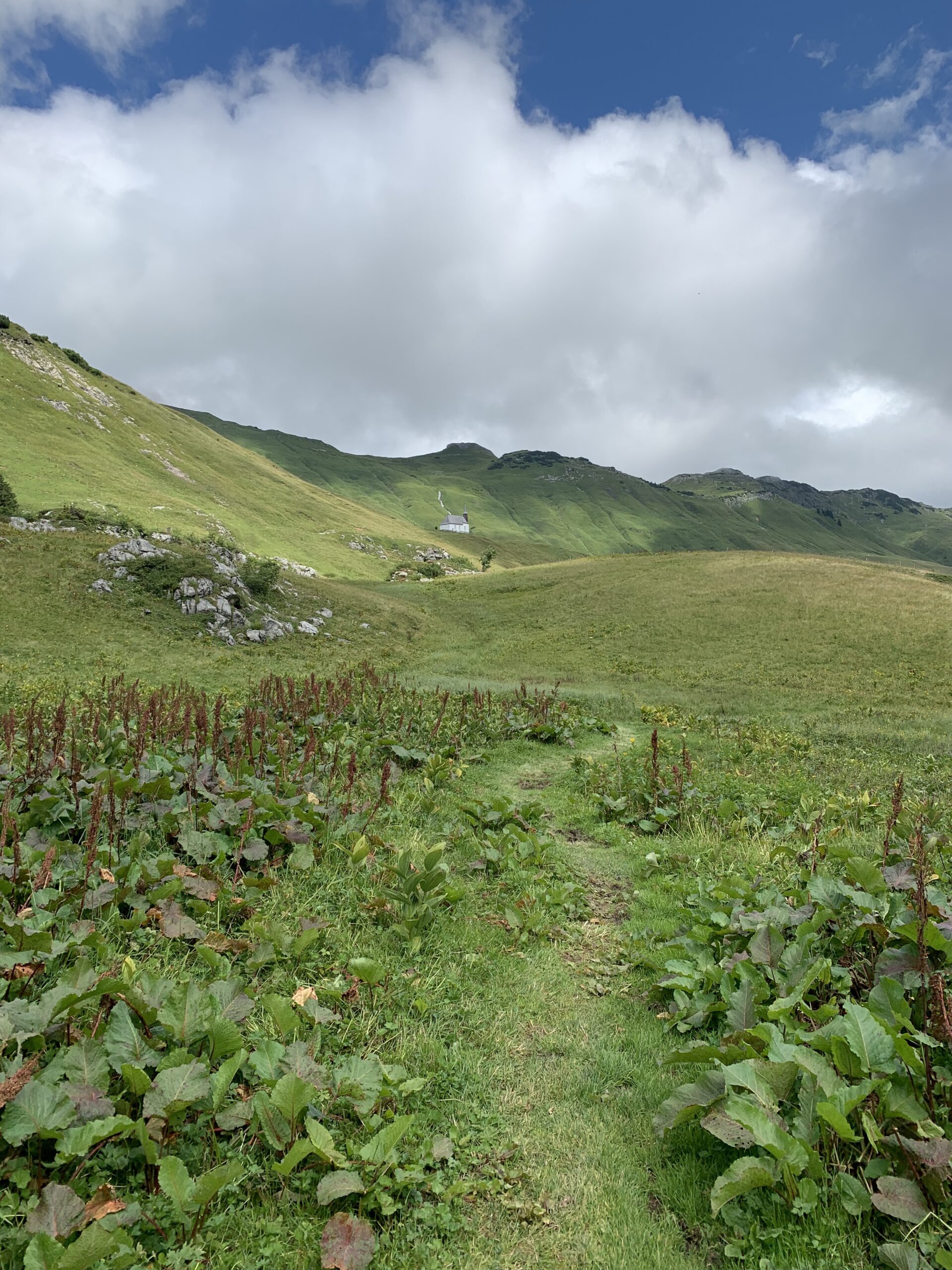 Weg In Hochkrumbach