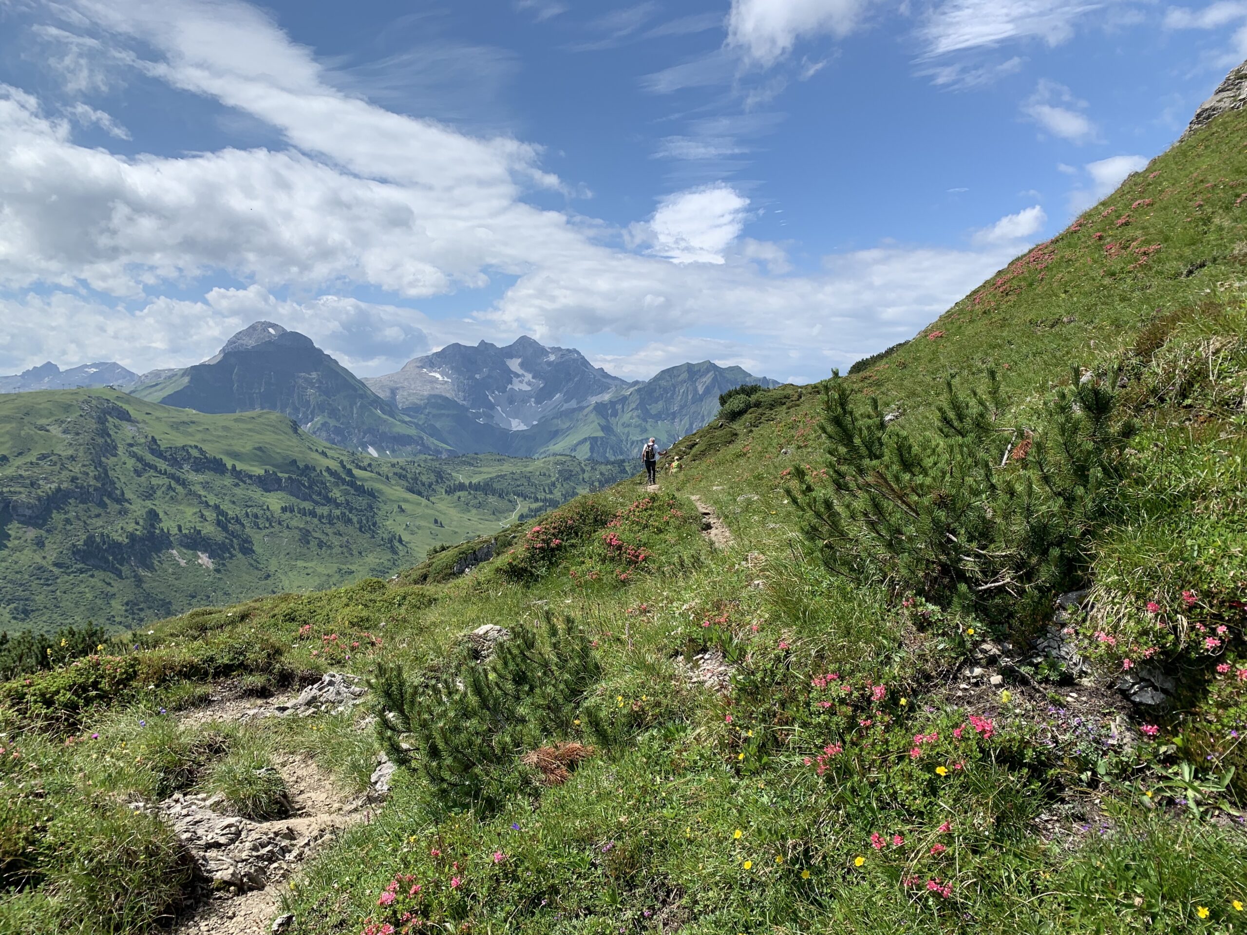 Zwischem Koblatpass und Gemstelpass