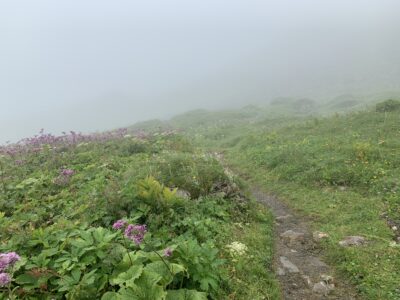 Nebel im Bereich der Steffisalp-Bergstation