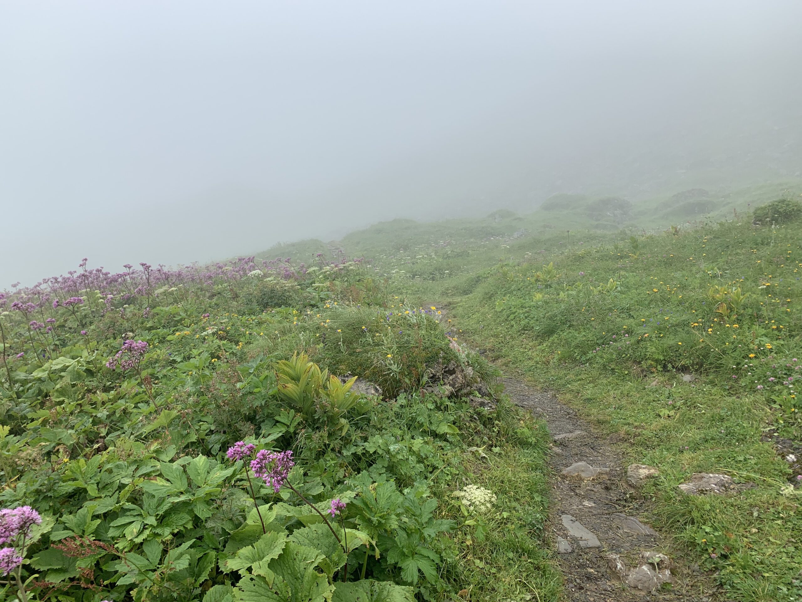 Nebel im Bereich der Steffisalp-Bergstation