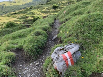 Die ersten Minuten geht's über Gras bedeckte Hügel