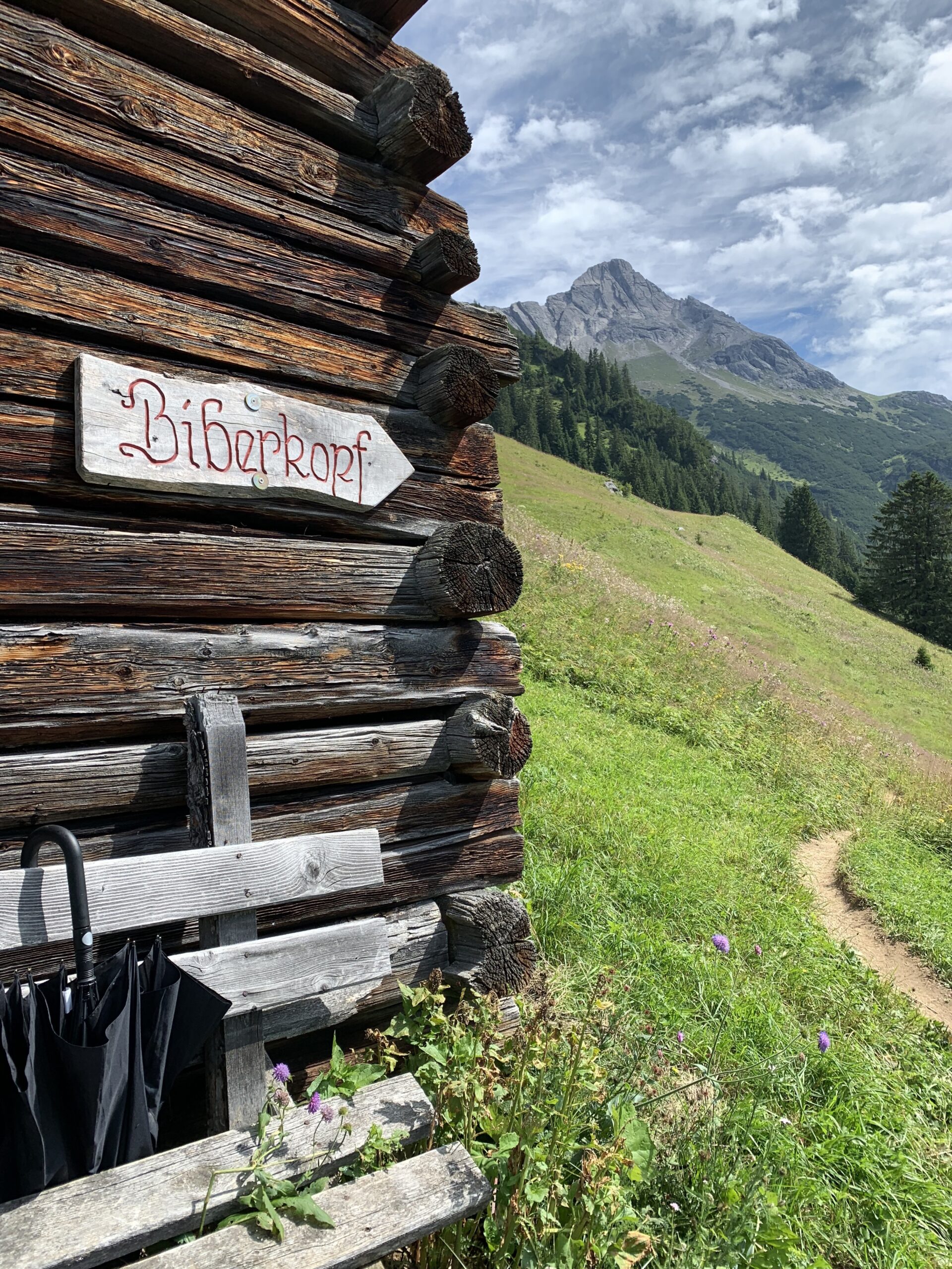 Auf dem Weg Richtung Biberkopf