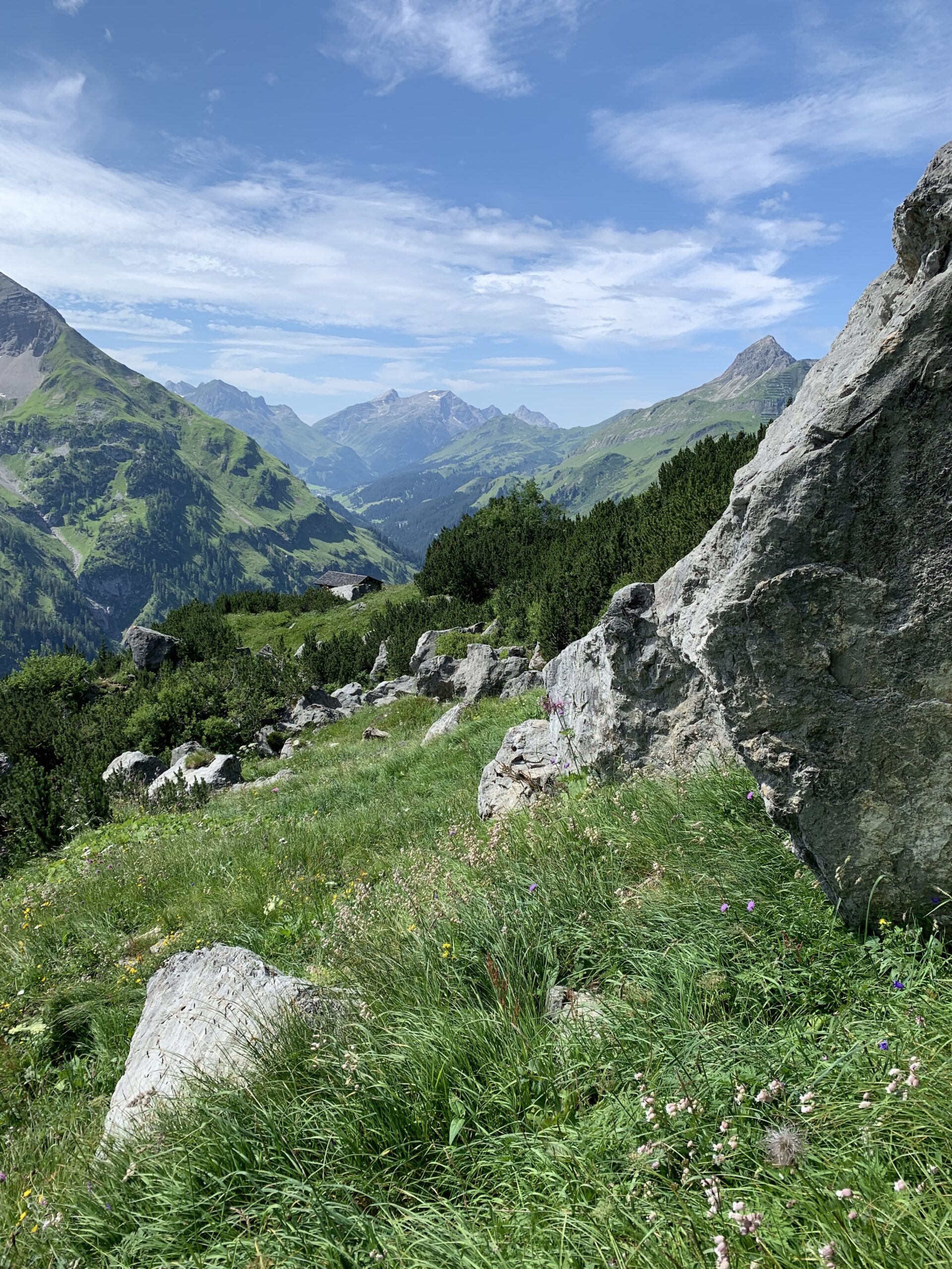 Hütte am Hundskopf