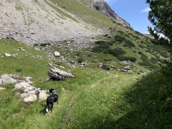 Am Fuße des Biberkopfs